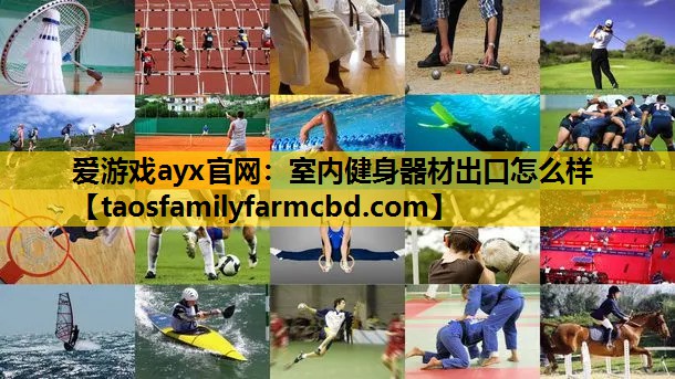 爱游戏ayx官网：室内健身器材出口怎么样