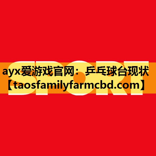 ayx爱游戏官网：乒乓球台现状