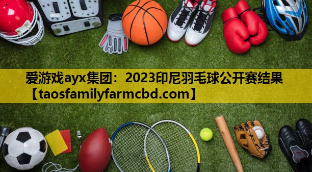 爱游戏ayx集团：2023印尼羽毛球公开赛结果