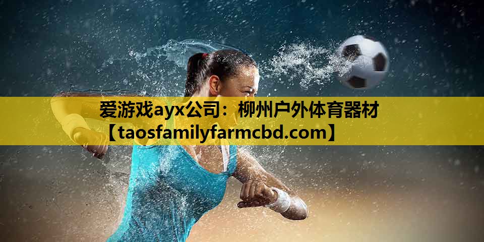 爱游戏ayx公司：柳州户外体育器材