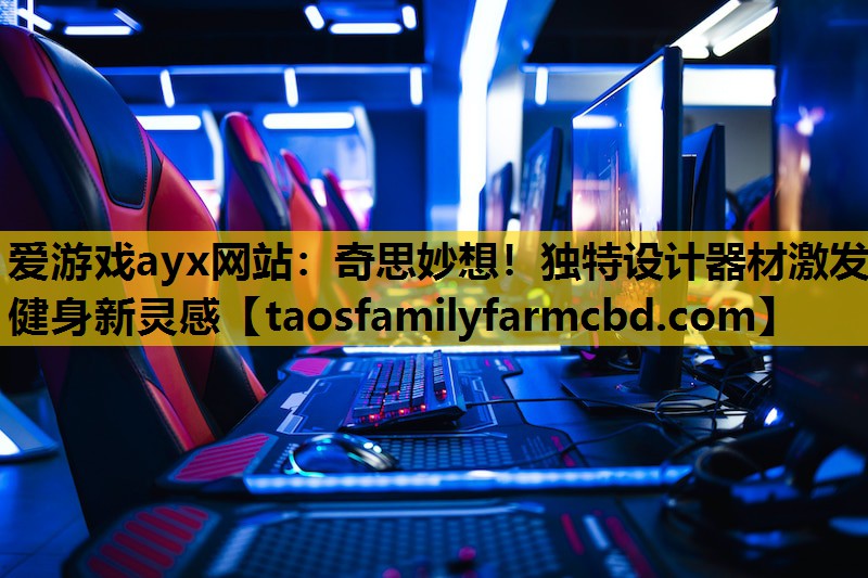 爱游戏ayx网站：奇思妙想！独特设计器材激发健身新灵感