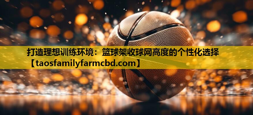 打造理想训练环境：篮球架收球网高度的个性化选择